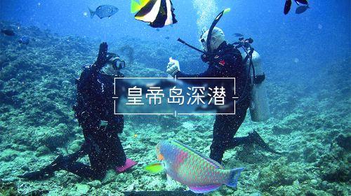 共享单车要停在指定地点吗?(小范围)还是说只要停在共享单车地图蓝色区域内就好了(大范围)如下图